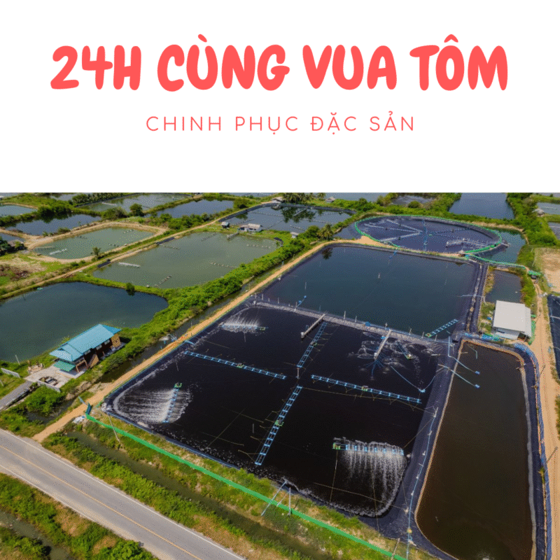 Ảnh bìa